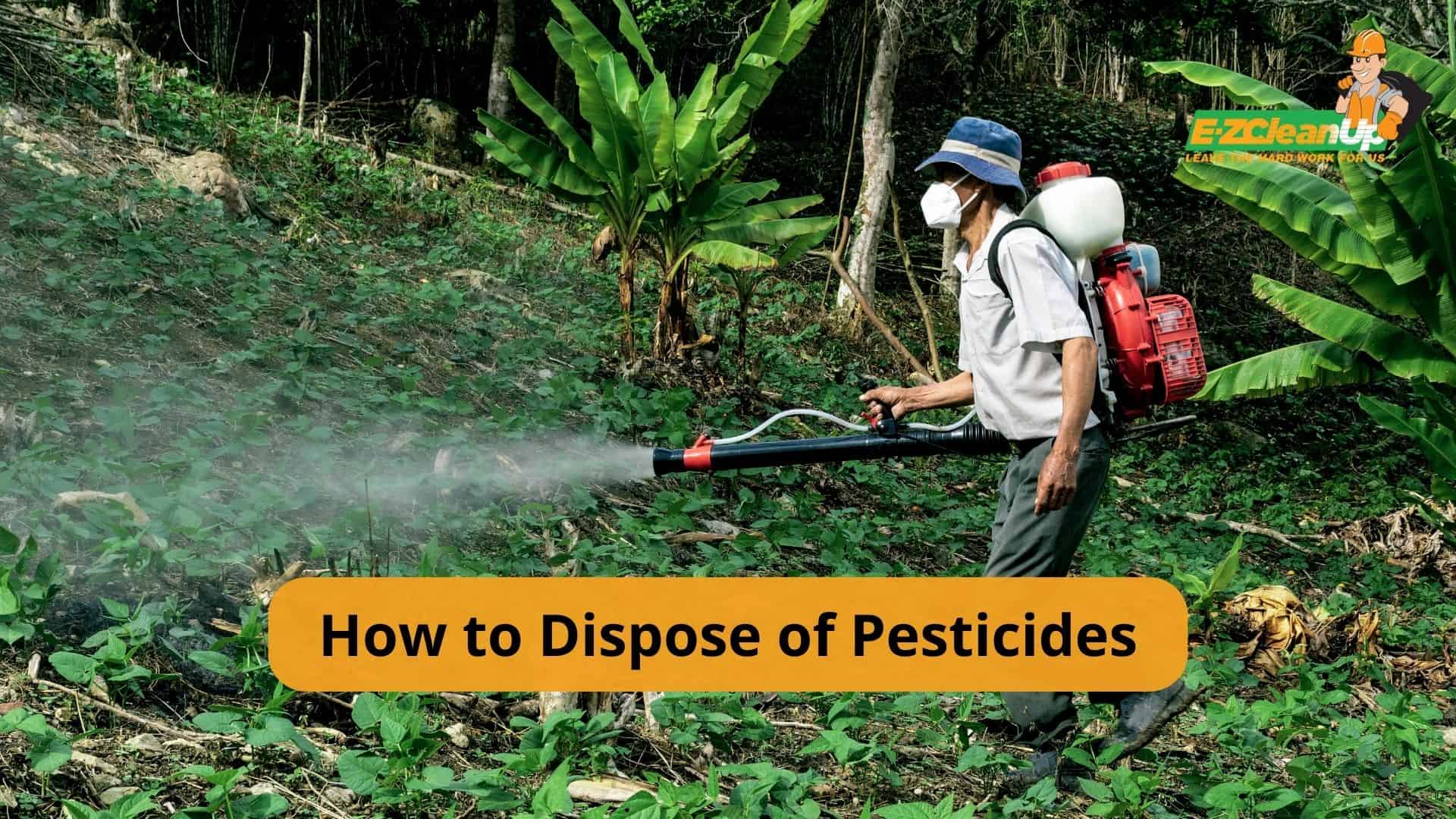 7 Tips On How To Dispose Of Pesticides EZ CleanUp