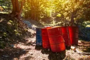 Toxic waste barrels in the forest