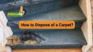 how to dispose of carpet
