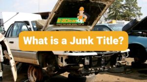 What is a Junk Title