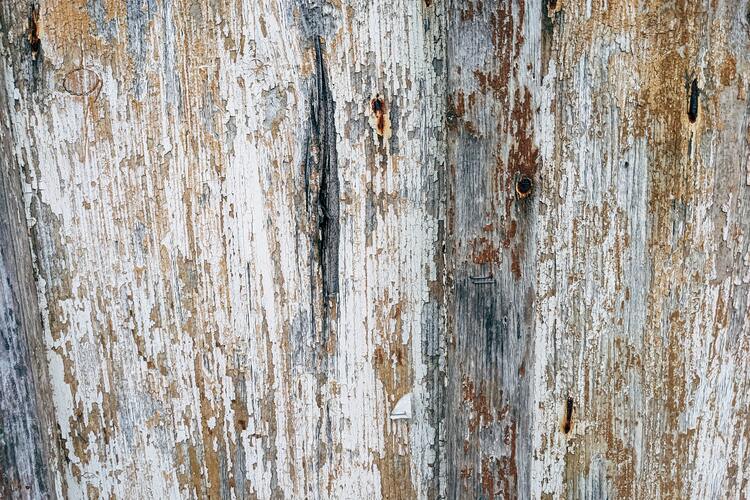 How to Dispose of Painted Wood: A Comprehensive Guide 🎨 3 old white painted wood