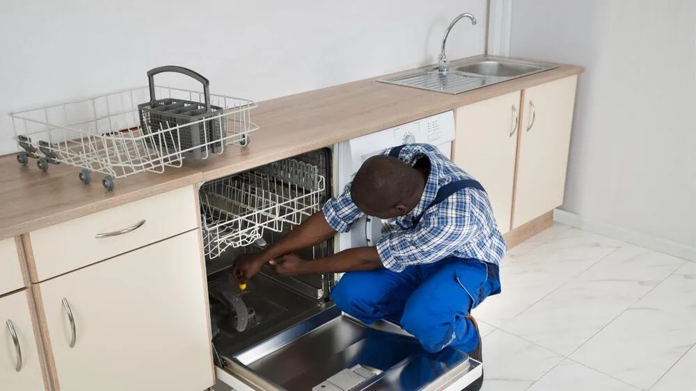 dishwasher removal