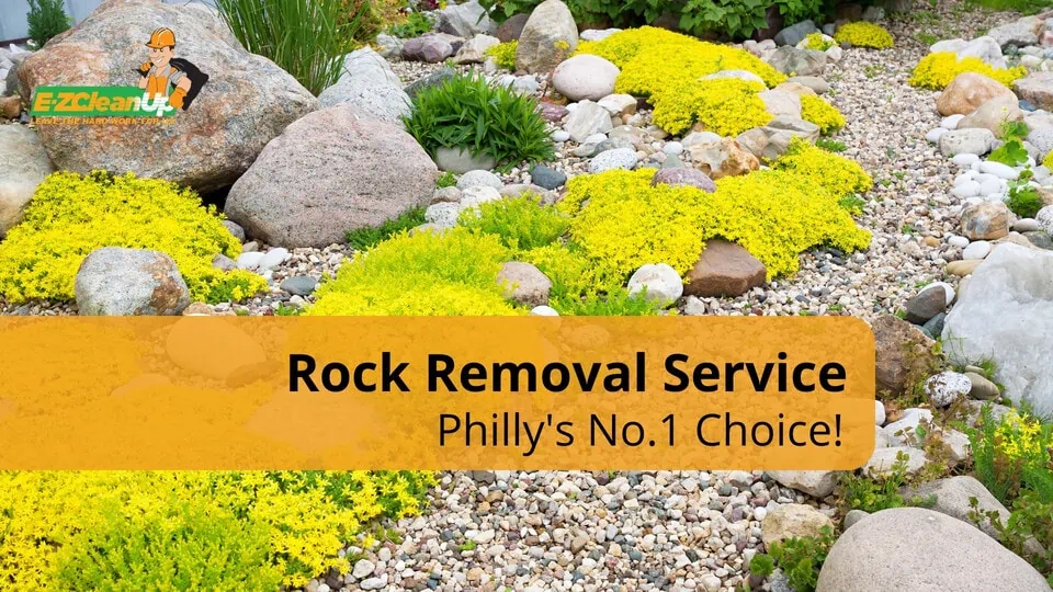 rock removal service