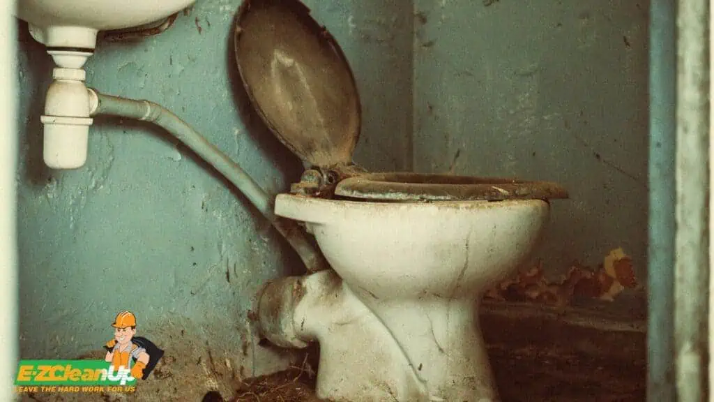 old toilet bowl junk