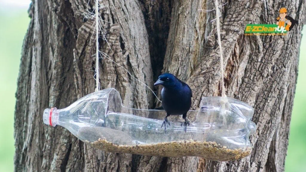 plastic bottle upcycle idea for birds