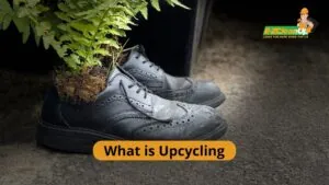 what is upcycling