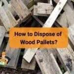 how to dispose of wood pallets