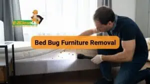 bed bug furniture removal