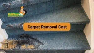 carpet removal cost