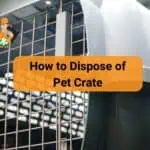 How to Dispose of Pet Crate