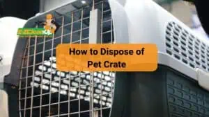 How to Dispose of Pet Crate