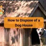 How to Dispose of a Dog House