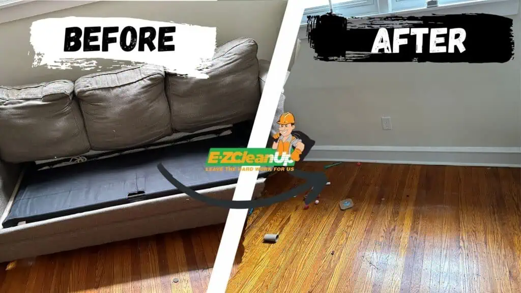 before after furniture disposal