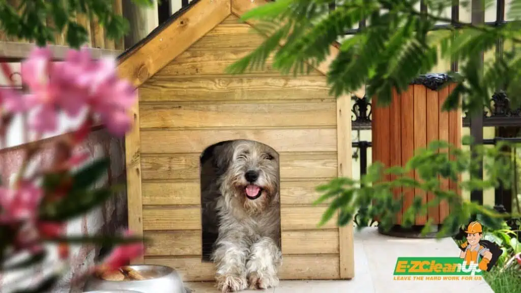 dog house with cute pooch