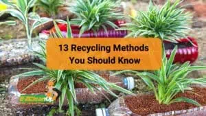 13 Recycling Methods You Should Know