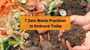 7 Zero Waste Practices to Embrace Today