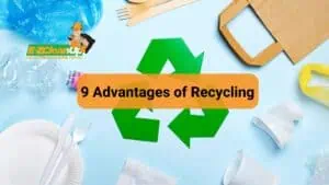 9 Advantages of Recycling