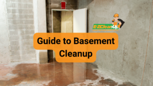 Guide to Basement Cleanup