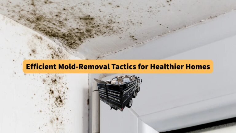 efficient-mold-removal-tactics-for-healthier-homes