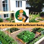 how-to-create-a-self-sufficient-backyard
