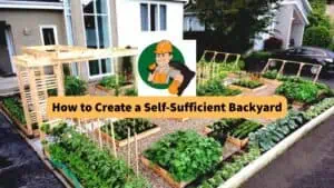 how-to-create-a-self-sufficient-backyard