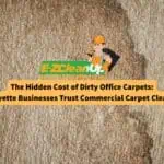 the-hidden-cost-of-dirty-office-carpets-why-lafayette-businesses-trust-commercial-carpet-cleaning-pros