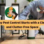 why-pest-control-starts-with-a-clean-and-clutter-free-space