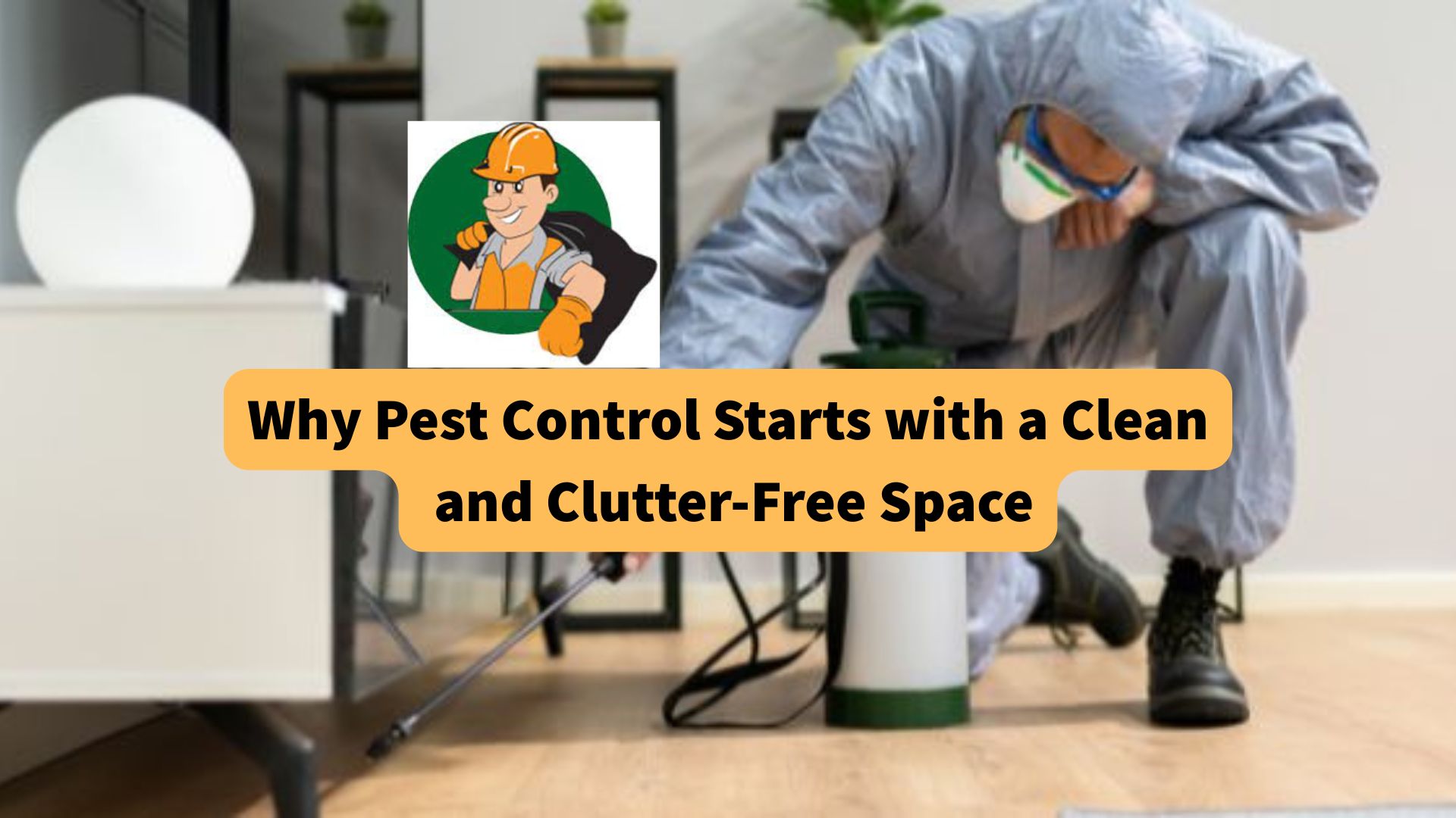why-pest-control-starts-with-a-clean-and-clutter-free-space