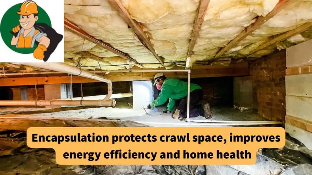 What to Do After Cleaning Out Your Crawl Space: The Case for Encapsulation 5 image 4