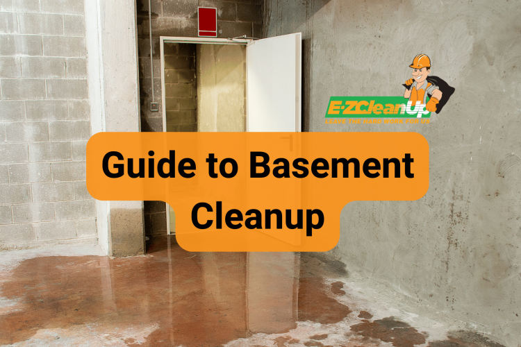 Guide to Basement Cleanup