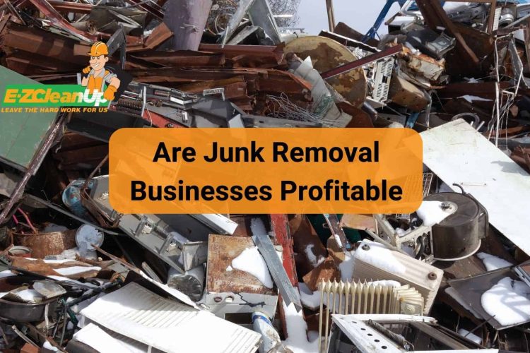 are-junk-removal-businesses-profitable