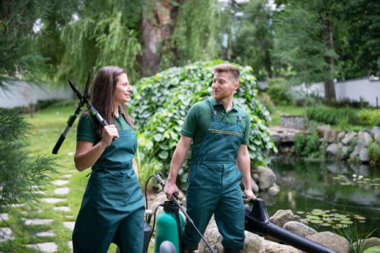 Man and woman are walking in garden and carrying gardening equipment.