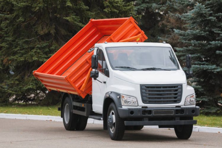 Small dump truck with red body, horizontal
