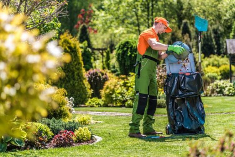 Summer Time Garden Maintenance. Caucasian Pro Gardener Cleaning Huge Backyard From Leaves and Grasses.