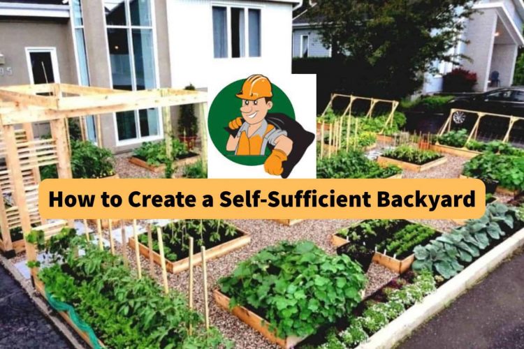 how-to-create-a-self-sufficient-backyard