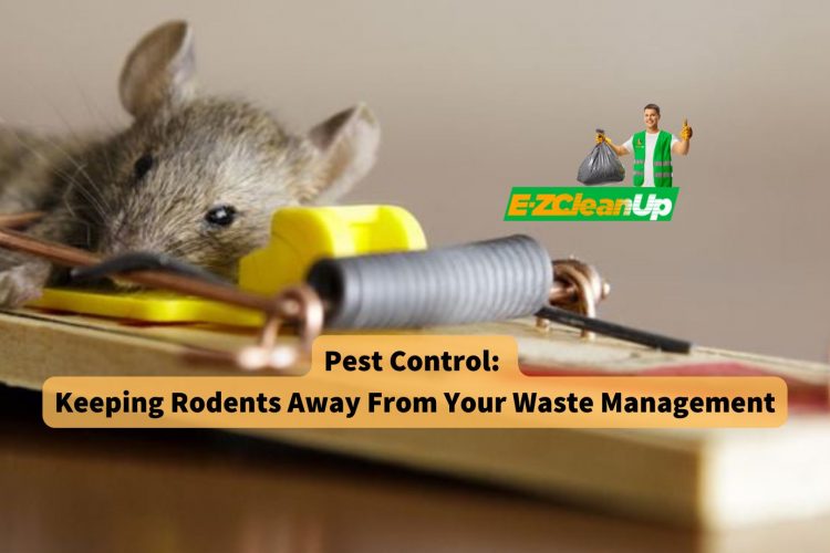 pest-control-keeping-rodents-away-from-your-waste-management