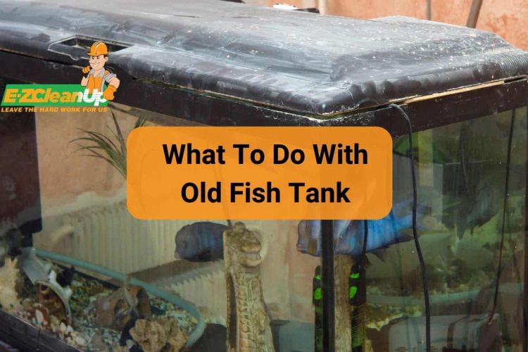 what to do with old fish tank