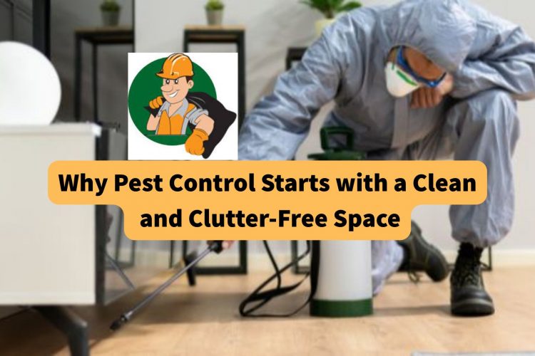 why-pest-control-starts-with-a-clean-and-clutter-free-space